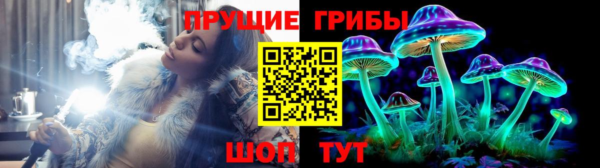 Галлюциногенные грибы GOLDEN TEACHER  Вход с VPN  купить наркотик  Галлюциногенные грибы Psilocybine cubensis  Сызрань 